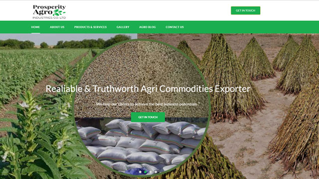 Case study: Prosperity Agro, Tanzania cashew nuts and sesame exporter company website